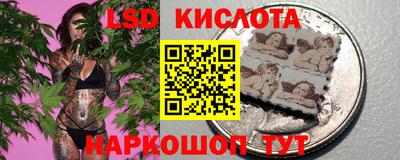 прущие грибы Ливны