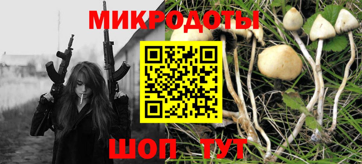 Псилоцибиновые грибы Psilocybe  Вход с VPN  Хасавюрт 